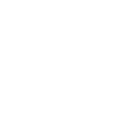 tomavicci